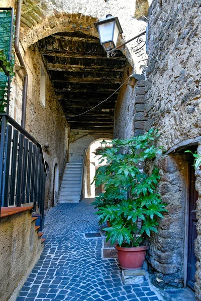 Алея Арнара Середньовічне Місто Лаціо Італія — стокове фото
