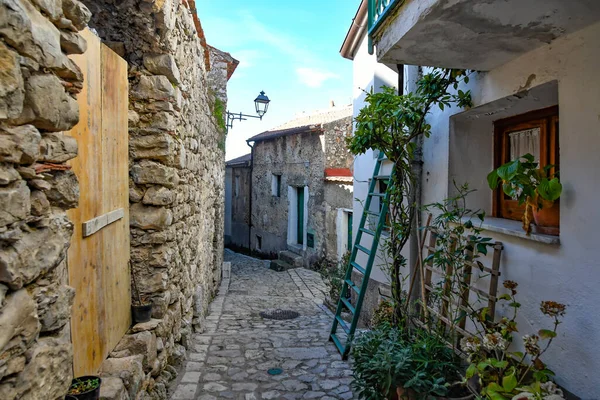 Een Smalle Straat Trentinara Een Klein Dorpje Provincie Salerno Italië — Stockfoto