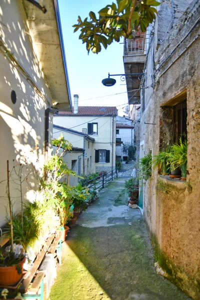 Small Street Old Houses Savoia Lucania Small Town Province Potenza — Fotografia de Stock