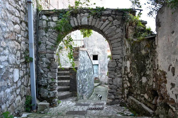 Smal Gränd Gaeta Medeltida Stad Lazio Regionen Italien — Stockfoto