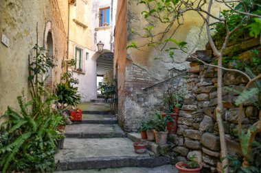 İtalya 'nın Salerno eyaletindeki Altavilla Silentina kasabasının eski taş evleri arasında dar bir sokak..