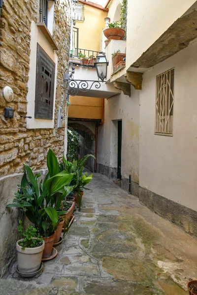 Una Calle Estrecha Entre Las Antiguas Casas Piedra Castellabate Ciudad — Foto de Stock