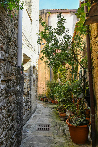 A narrow street among the old stone houses of Castellabate, medieval town in Salerno province, Italy.