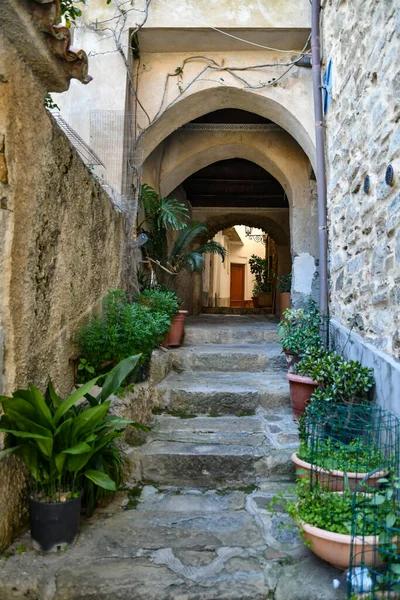 Una Calle Estrecha Entre Las Antiguas Casas Piedra Castellabate Ciudad — Foto de Stock