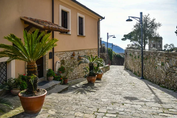 Uma Rua Estreita Entre Antigas Casas Pedra Castellabate Cidade Medieval — Fotografia de Stock