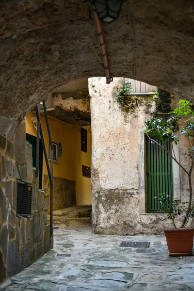 意大利Salerno省Castellabate镇旧石屋中间一条狭窄的街道 — 图库照片