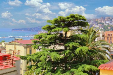 Campania bölgesinin kıyılarında şehrin panoramik manzarası ve liman manzarası.