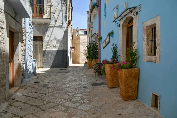 Narrow Street Old Houses Casamassima Apulian Village Province Bari Italy — ストック写真