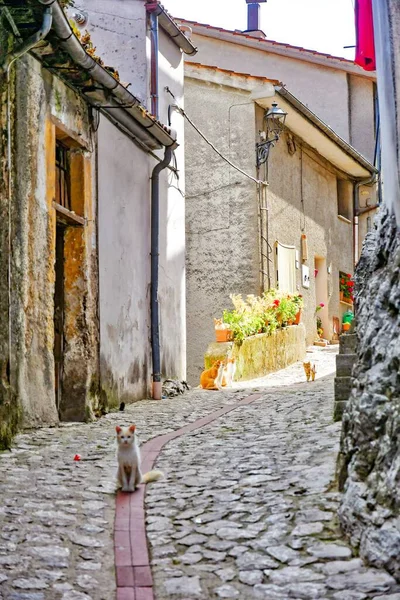 A narrow street between the old houses of Petina, a village in the mountains of Salerno province, Italy.