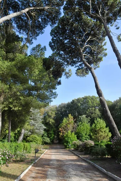 Μια Λεωφόρος Στο Δημόσιο Πάρκο Ενός Ιταλικού Χωριού Στην Επαρχία — Φωτογραφία Αρχείου