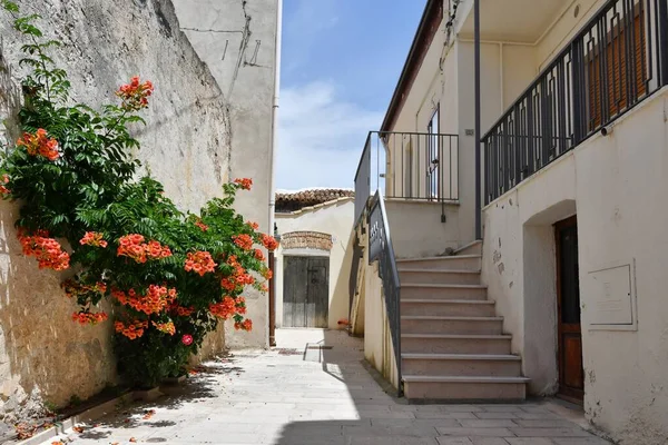 Narrow Street Old Houses Irsina Basilicata Region Southern Italy — 스톡 사진