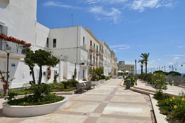 The avenue of a street in Santa Cesarea Terme, an Apulian village in the province of Lecce in Italy.