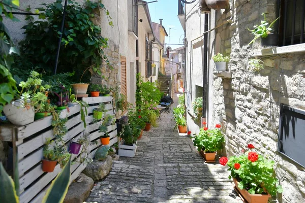 Narrow Street Old Houses Pietrelcina Village Province Benevento Italy — Stockfoto