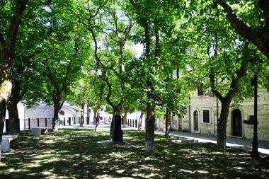 The trees of a public park in Campo di Giove, a small village in the Abruzzo mountains in Italy.