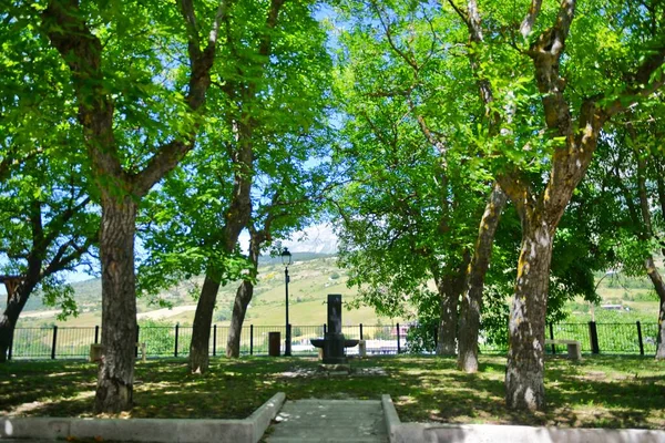 Δέντρα Ενός Δημόσιου Πάρκου Στο Campo Giove Ένα Μικρό Χωριό — Φωτογραφία Αρχείου