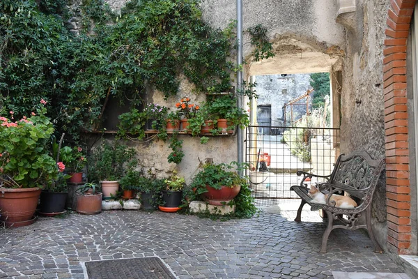 Narrow Street Pesche Mountain Village Molise Region Italy — ストック写真