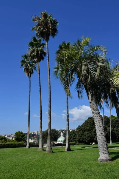 View of Capodimonte public park in Naples, Italy.