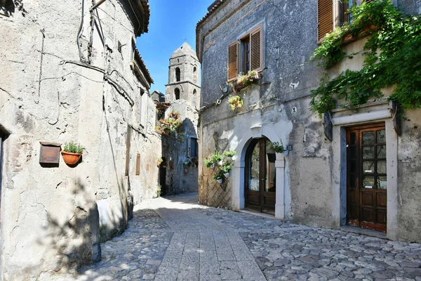 Una Calle Estrecha Caserta Casco Antiguo Campania Italia —  Fotos de Stock