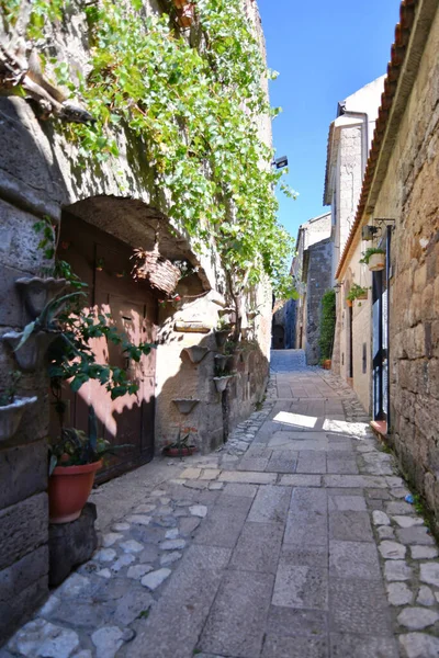 Úzká Ulice Caserta Staré Město Kampánii Itálie — Stock fotografie