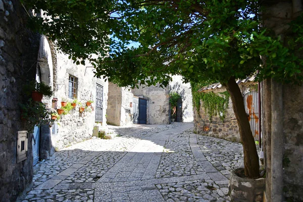 Eine Enge Straße Caserta Einer Alten Stadt Kampanien Italien — Stockfoto