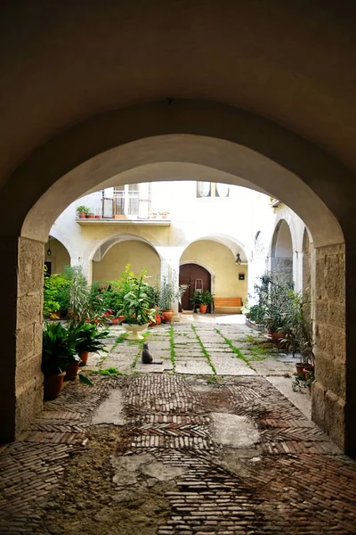 イタリアのモリーゼにある村オラティノの古い家の中庭 — ストック写真