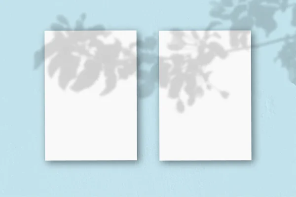 2 függőleges lap texturált fehér papír puha kék asztal háttér. Mockup overlay a növény árnyékok. A természetes fény árnyékot vet egy egzotikus növényre. Vízszintes tájolás — Stock Fotó
