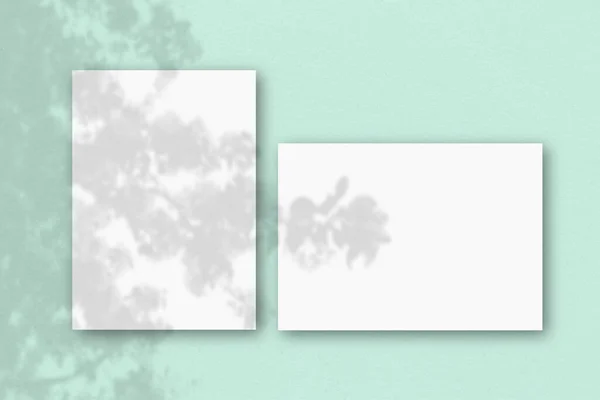 2 φύλλα λευκού χαρτιού σε έναν ανοιχτό πράσινο τοίχο. Mockup επικαλύπτονται με τις σκιές των φυτών. Το φυσικό φως ρίχνει σκιές από ένα εξωτικό φυτό. Επίπεδη θέα. Οριζόντια κατεύθυνση — Φωτογραφία Αρχείου