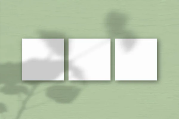 3 τετράγωνα φύλλα λευκού χαρτιού στο φόντο του πράσινου τοίχου. Mockup επικαλύπτονται με τις σκιές των φυτών. Το φυσικό φως ρίχνει σκιές από τα γεράνια. Επίπεδο lay, πάνω όψη — Φωτογραφία Αρχείου