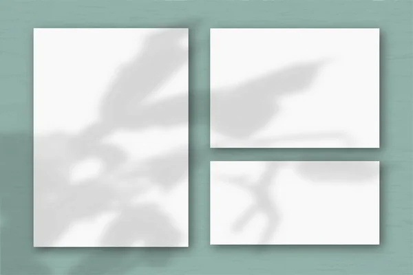 Diversi fogli orizzontali e verticali di carta bianca strutturata sullo sfondo di una parete grigia. La luce naturale getta ombre da una pianta esotica. Posa piatta, vista dall'alto — Foto Stock