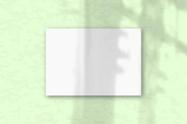 Uma folha A4 horizontal de papel texturizado branco sobre o fundo da parede verde macia. Mockup se sobrepõe às sombras das plantas. A luz natural lança sombras da folhagem das árvores — Fotografia de Stock