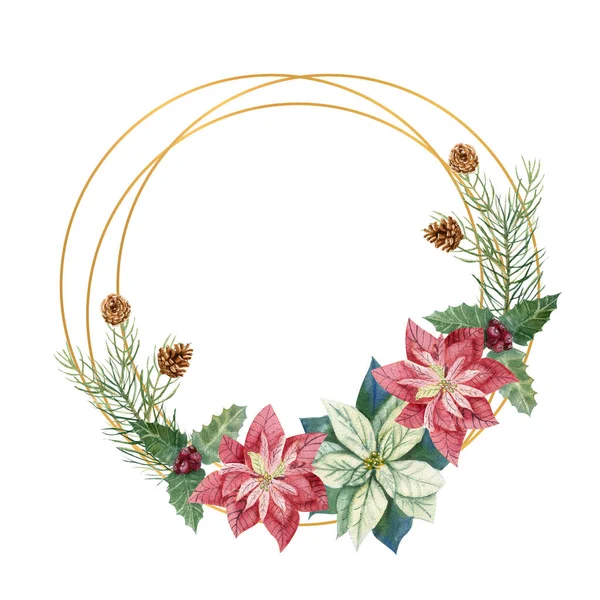 Zimowa ilustracja świąteczna. Okrągła ramka z akwarelowymi kwiatami poinsettii, gałązkami jodły, szyszkami, jagodami niebieskimi i czerwonymi — Zdjęcie stockowe