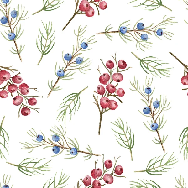 푸른 열매와 붉은 열매의 꽃이 피는 무미건조 한 무늬. 워터 컬러 크리스마스 삽화 — 스톡 사진