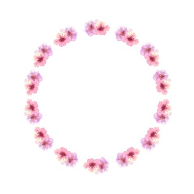 Beyaz izole bir arka planda pembe sakura çiçekleri açan bir çelenk. Suluboya çizimi