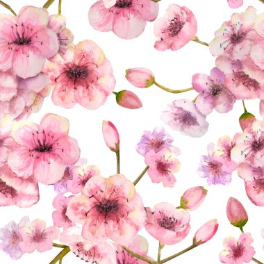 Beyaz arka planda çiçek açan sakura dalları olan kusursuz bir desen. Elle çizilmiş suluboya çizimi