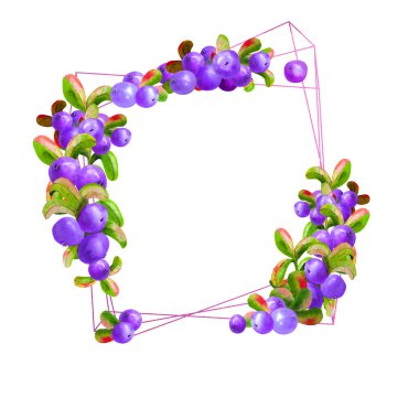Beyaz arka planda olgun irgi üzümlü bir geometrik çerçeve izole edilmiştir. Grafik elementi. Suluboya çizimi