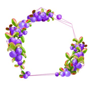 Beyaz arka planda olgun irgi üzümlü bir geometrik çerçeve izole edilmiştir. Grafik elementi. Suluboya çizimi