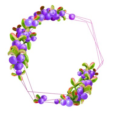 Beyaz arka planda olgun irgi üzümlü bir geometrik çerçeve izole edilmiştir. Grafik elementi. Suluboya çizimi