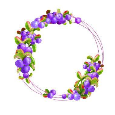 Beyaz arka planda olgun irgi üzümlü bir geometrik çerçeve izole edilmiştir. Grafik elementi. Suluboya çizimi