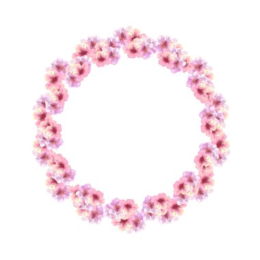 Beyaz izole bir arka planda pembe sakura çiçekleri açan bir çelenk. Suluboya çizimi
