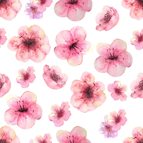 Patrón sin costuras con ramas de sakura en flor sobre un fondo blanco. Ilustración en acuarela dibujada a mano —  Fotos de Stock