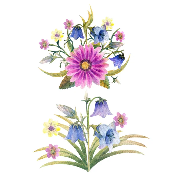 Fiori di campo in acquerello. Fiori da campo. Illustrazioni floreali. Bouquets bohemien di fiori, ghirlande, composizioni nuziali, anniversario, compleanno Inviti biglietti di auguri — Foto Stock