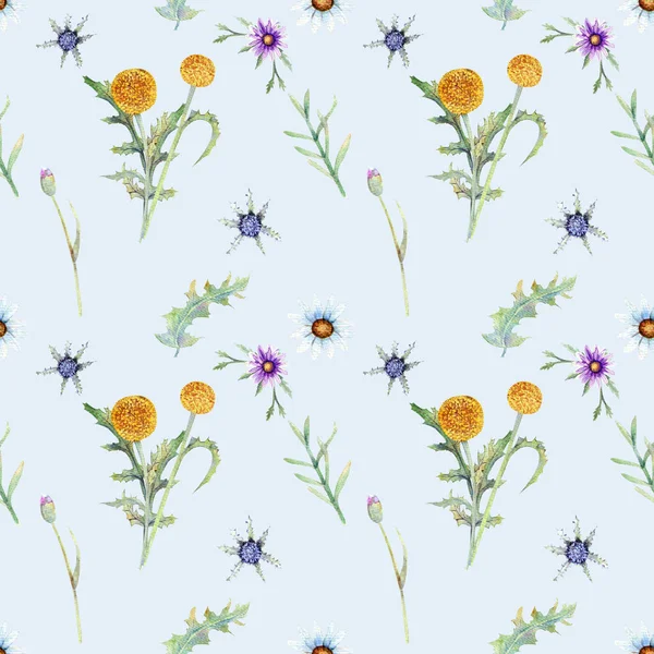 Wildblumen Hintergrund. nahtloses Muster. wilde Blumen Hintergrund Aquarell. — Stockfoto