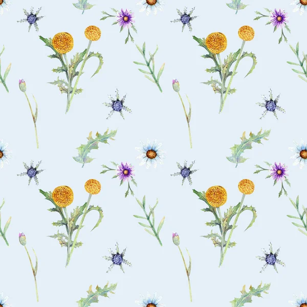 Wild flowers background. Seamless pattern. Wild flowers background Watercolor. — Stock Photo, Image