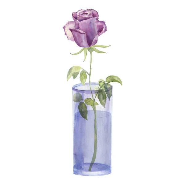 Ramos de flores con rosas moradas y anémonas en un jarrón de vidrio sobre un fondo blanco aislado. Acuarela dibujada a mano ilustración — Foto de Stock