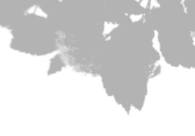 Beyaz bir duvardaki ağacın yapraklarının arka plan gölgeleri. Model üzerinde kaplama için beyaz ve siyah arkaplan