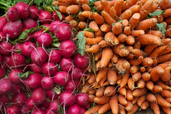 Carrots and radishes — Stock Photo, Image