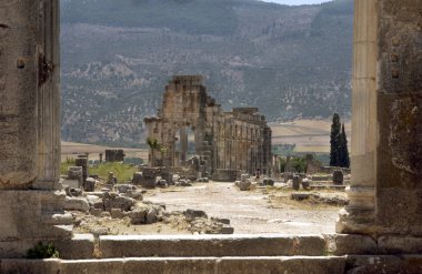volubilis roman ruins clipart