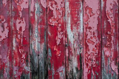 kırmızı ahşap doku çürümesi