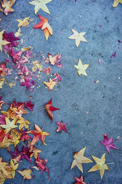 Fall leaves textures — Stock Photo, Image
