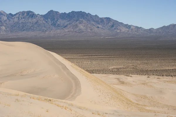 Kelso sand dunes landscape — Stock Photo, Image